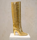 botte toral mekong