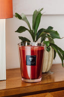 MAX 24 BOUGIE ALL SEASONS MAASAI SPIRIT BAOBAB