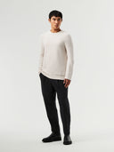 FOSOP V3.Y5.02 alphatauri