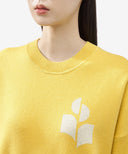 pull Isabel Marant Etoile