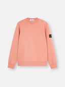 62420 BRUSHED ORGANIC COTTON FLEECE STONE ISLAND