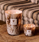 MAX 24 BOUGIE OCEANIA ANANGU BAOBAB