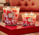 MAX 16 BOUGIE CRAZY LOVE BAOBAB
