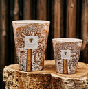 MAX 16 BOUGIE SACRED TREES DUALLA BAOBAB