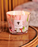 MAX 10  BOUGIE PARFUMÉE OCEANIA JUKURRPA BAOBAB