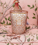 MAX 16 Women bougie BAOBAB
