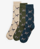 Coffret cadeau de chaussettes pour hommes Barbour Pointer Dog assorties - paquet de 3