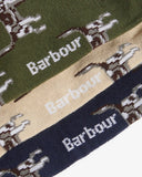 Coffret cadeau de chaussettes pour hommes Barbour Pointer Dog assorties - paquet de 3