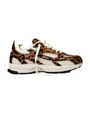 The Re-Run Leopard