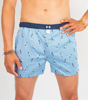 Boxer SIXTINE'S RAPHAELLE