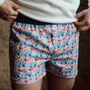 Boxer SIXTINE'S Audrey