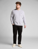 pull Lee PLAIN CREW IN GREY MELE