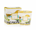 bougie BAOBAB MY FIRST BAOBAB RIO