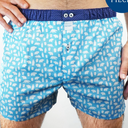 boxer Sixtine's virginie