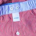 boxer Sixtine's ysa
