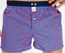 boxer Sixtine's romy