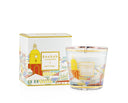 my first baobab-st tropez