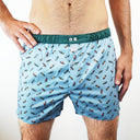 Boxer SIXTINE'S Clementine