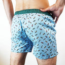 Boxer SIXTINE'S Clementine