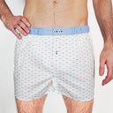 Boxer SIXTINE'S Delphine