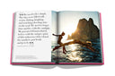 livre ASSOULINE Ibiza Bohemia