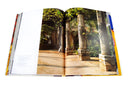 livre ASSOULINE La Colombe d'Or