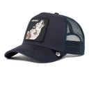 casquette goorin The Lone Wolf