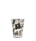 BOUGIE BAOBAB BLACK PEARLS MAX 24