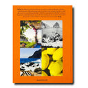 livre ASSOULINE Capri Dolce Vita