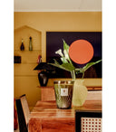 bougie BAOBAB PALM - PALM SPRINGS MAX 24