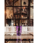 diffuseur BAOBAB BORGIA - RODRIGO 2L