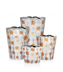 bougie BAOBAB max 10 odyssee-calypso