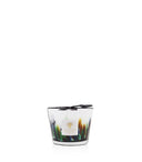bougie BAOBAB RAINFOREST - AMAZONIA MAX 10