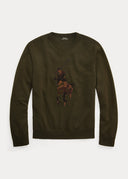 Fleece ralph lauren