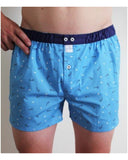 Boxer SIXTINE'S Eveline