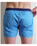 Boxer SIXTINE'S Eveline