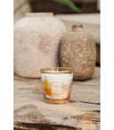 bougie BAOBAB my first baobab-saint-tropez